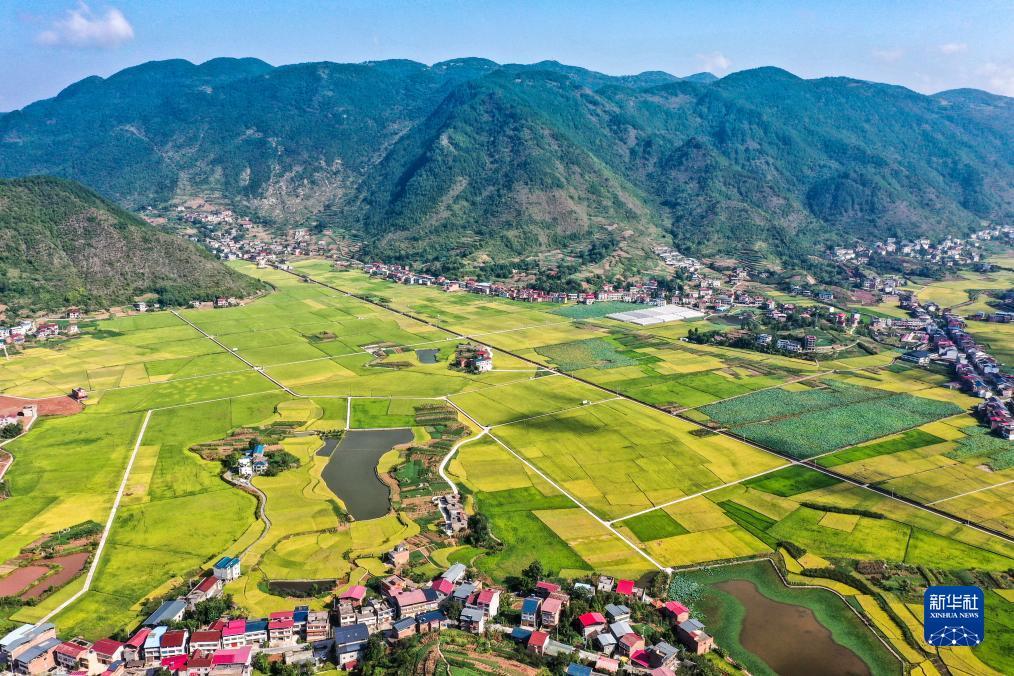 山水平台注册